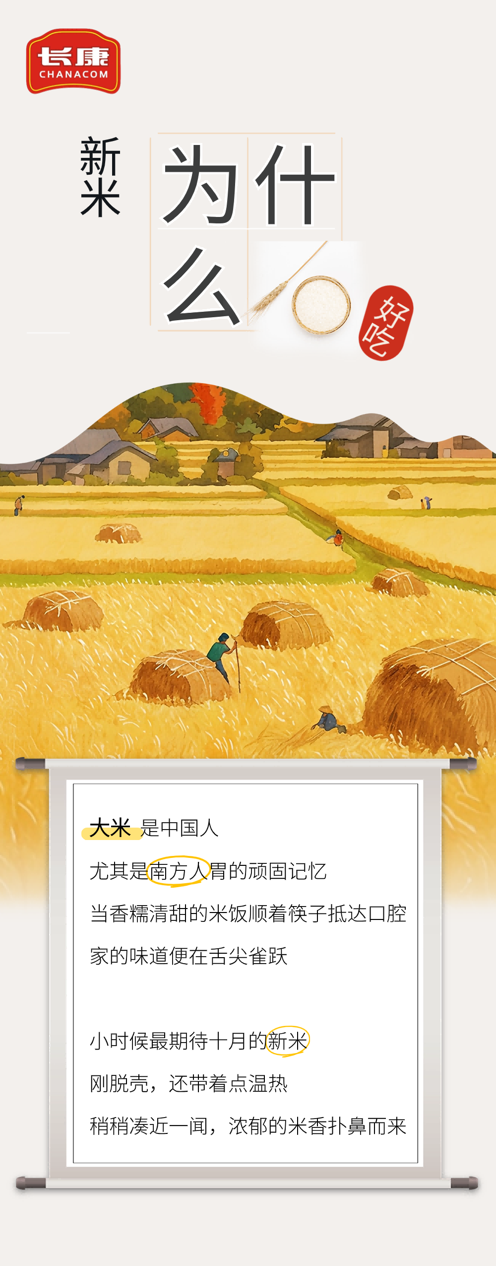 長(zhǎng)康科普｜“稻”時(shí)候了！為什么說(shuō)新米更好吃？